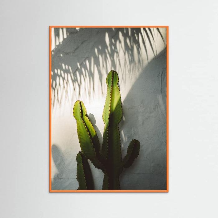 Orange Wood Socal Shadows Poster