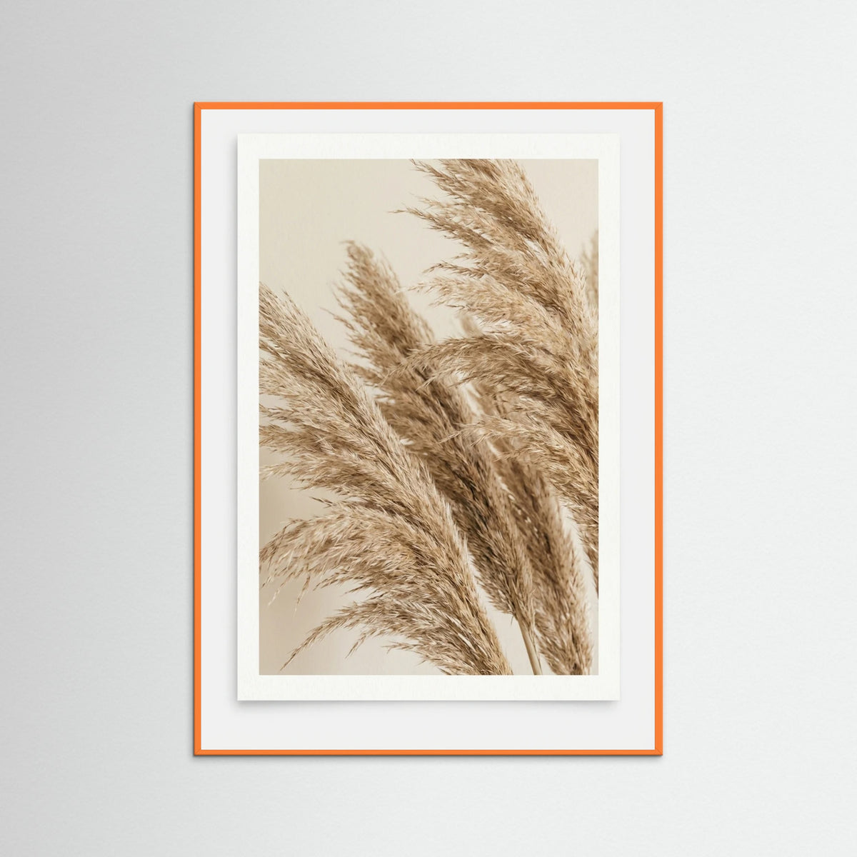 Orange Wood Sunlit Frond