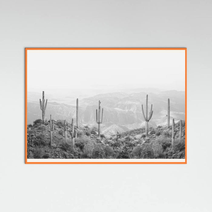 Orange Wood Western Cactus Poster