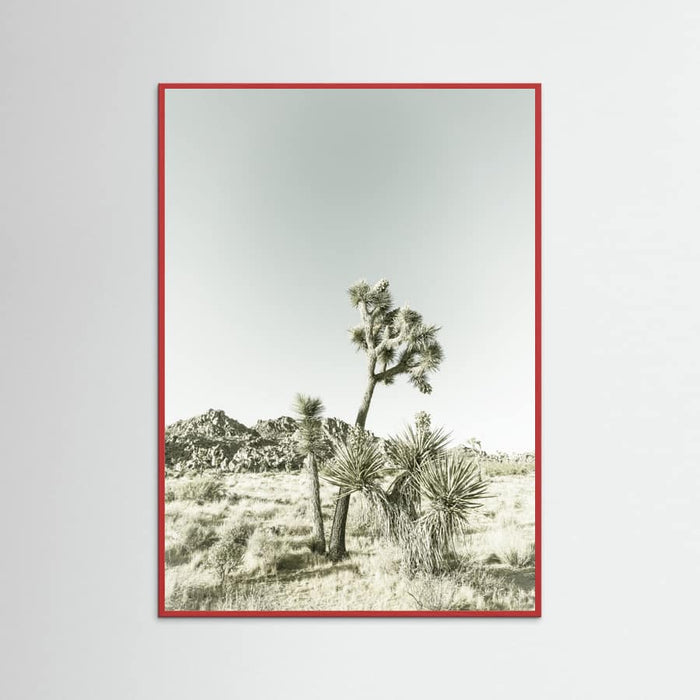 Red Wood Joshua Tree National Park Vintage Impression Poster