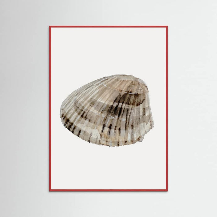 Poster Seashell – poster e stampa artistica