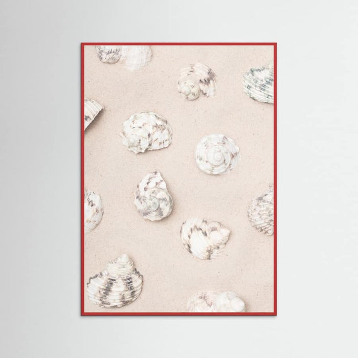 Shells_2 Poster – Poster und Kunstdruck