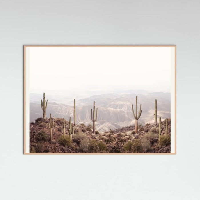 Arizona Valley Poster – plakat og kunsttryk