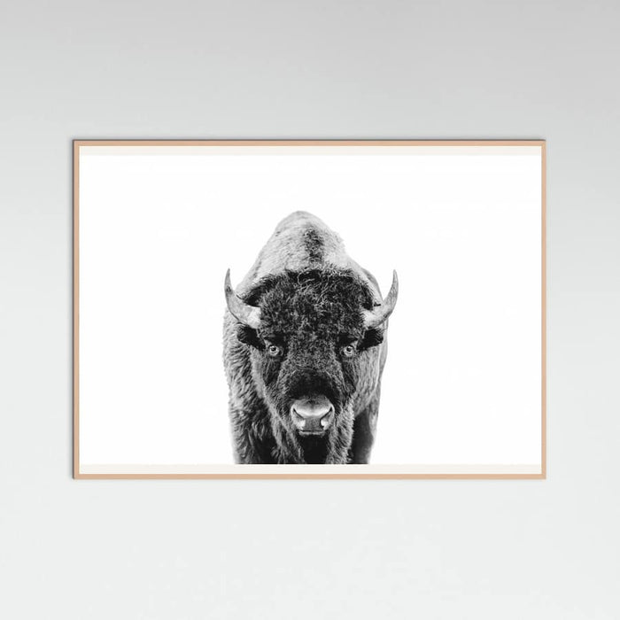 Póster Bison Bw – póster e impresión artística
