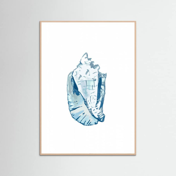 Blue Seashell On White Background No6 Poster – plakat og kunsttryk