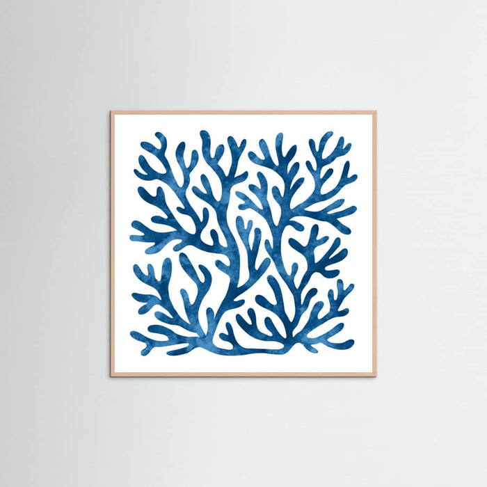 Coral square Poster – Poster und Kunstdruck