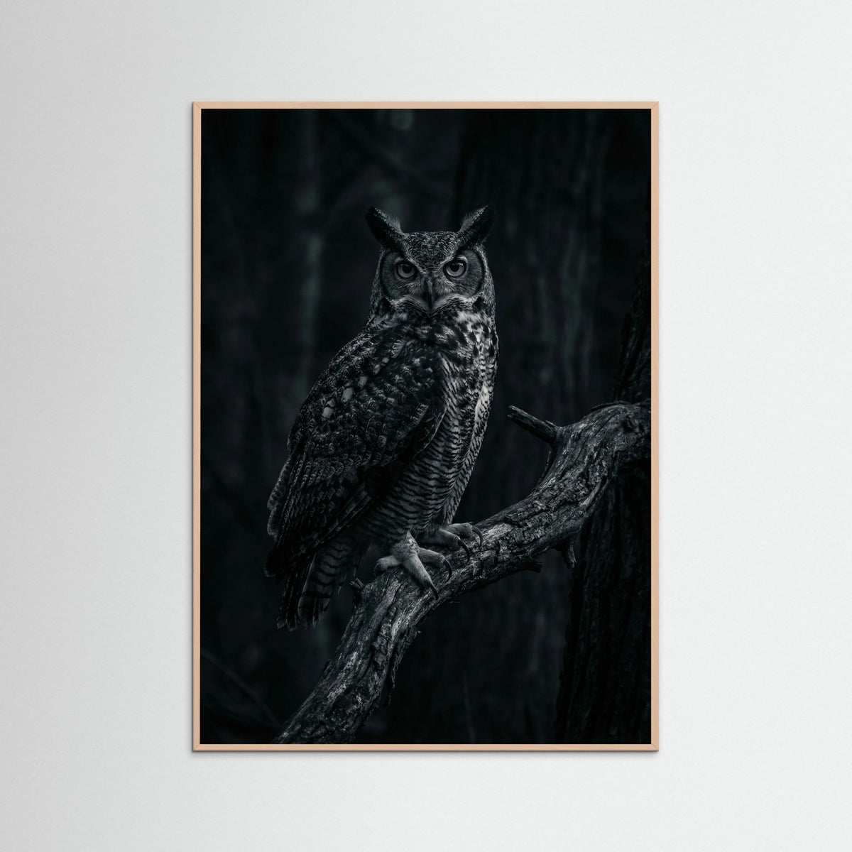 Rose Wood Dark Congregation