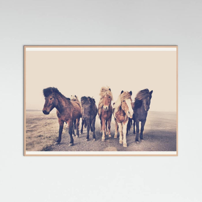 Poster Horses – poster e stampa artistica