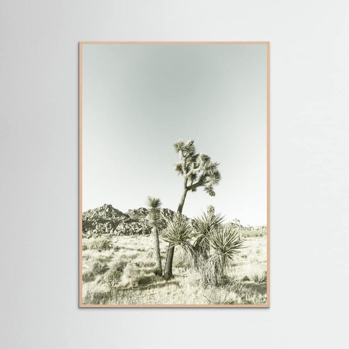 Rose Wood Joshua Tree National Park Vintage Impression Poster