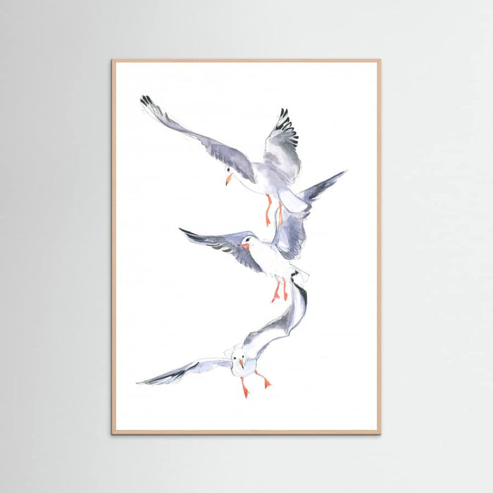 Poster Seagull Flight – poster e stampa artistica