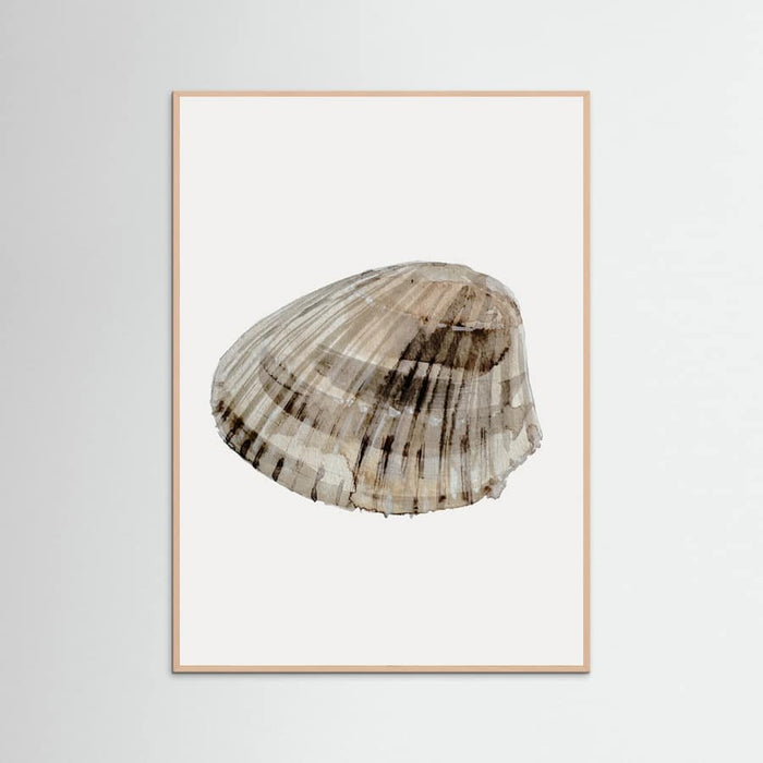 Poster Seashell – poster e stampa artistica