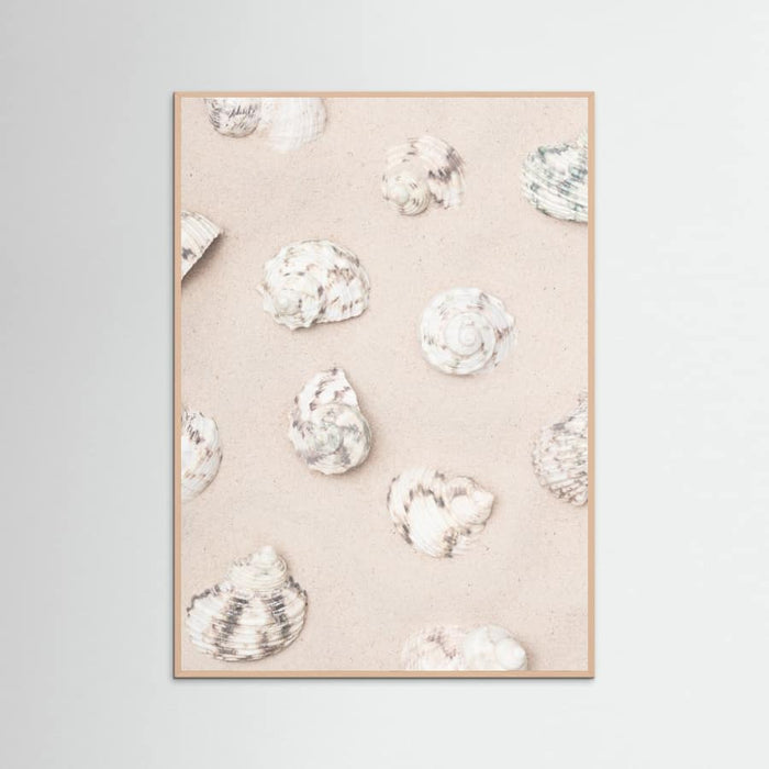 Shells_2 Poster – Poster und Kunstdruck