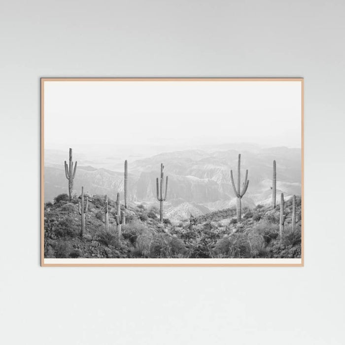 Rose Wood Western Cactus Poster