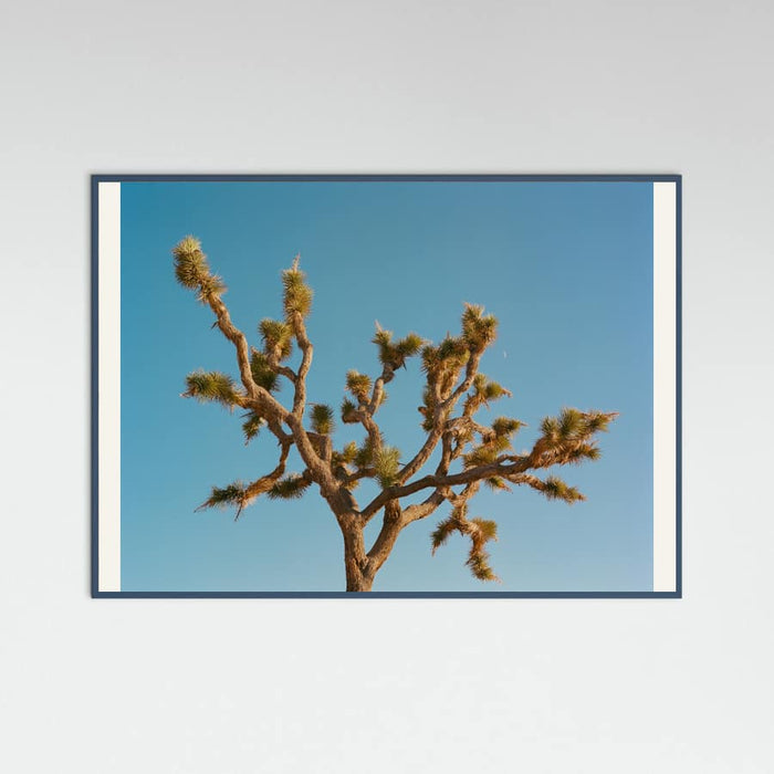 Joshua Tree Moon III Poster – plakat og kunsttryk