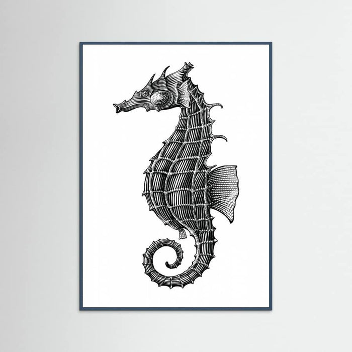 Affiche Seahorse – affiche et impression d’art
