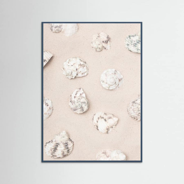 Shells_2 Poster – Poster und Kunstdruck