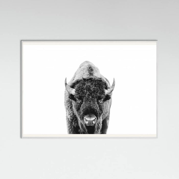 Póster Bison Bw – póster e impresión artística