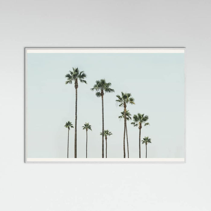 Póster Cali Palms – póster e impresión artística