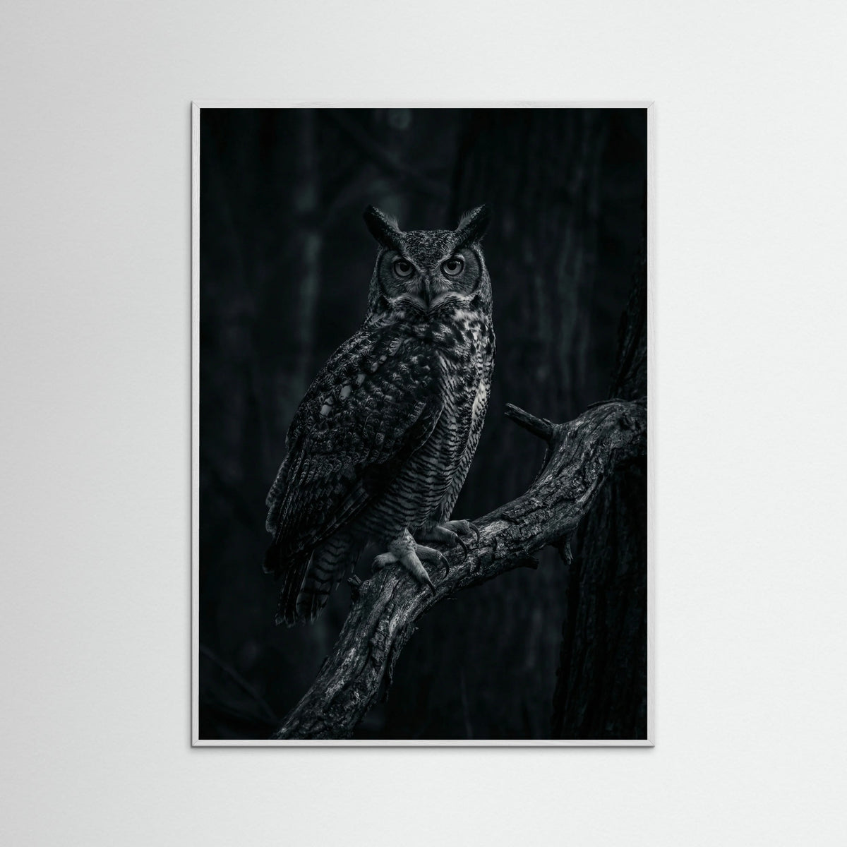 White Wood Dark Congregation