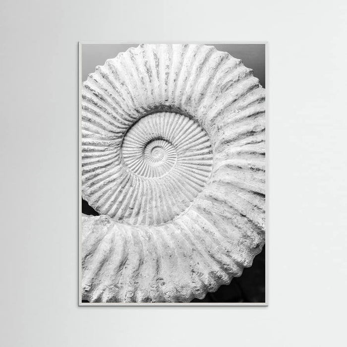 Poster Formula – poster e stampa artistica
