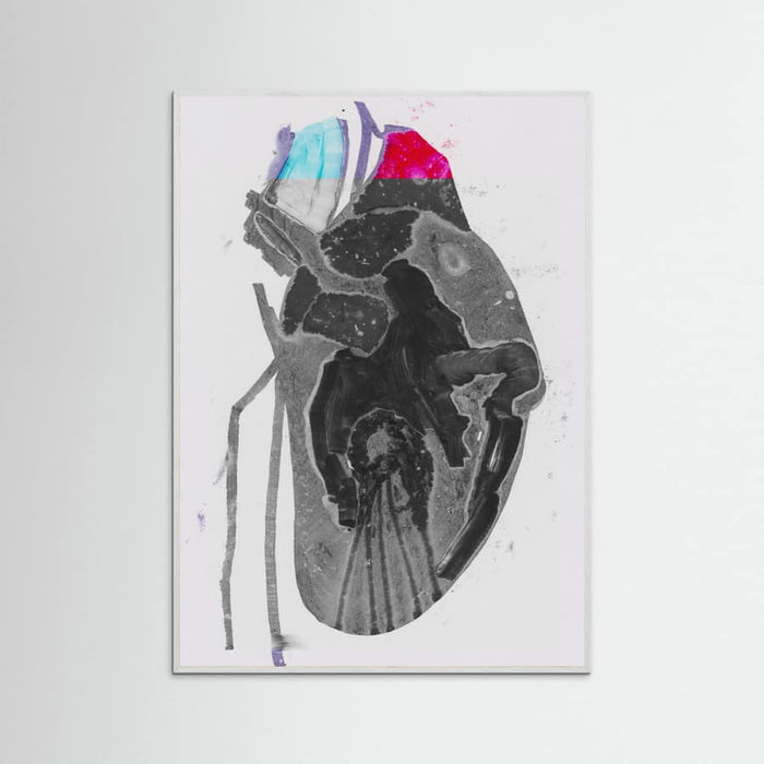 Genomsnitt Poster – Poster und Kunstdruck