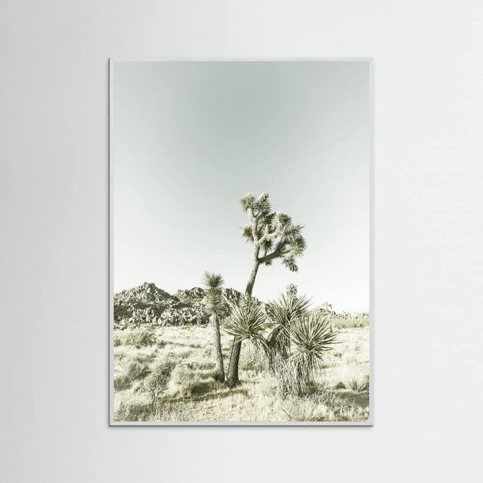 White Wood Joshua Tree National Park Vintage Impression Poster