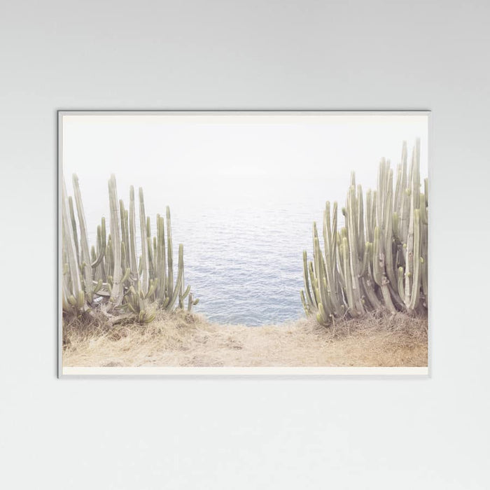 White Wood Ocean Cactus Poster