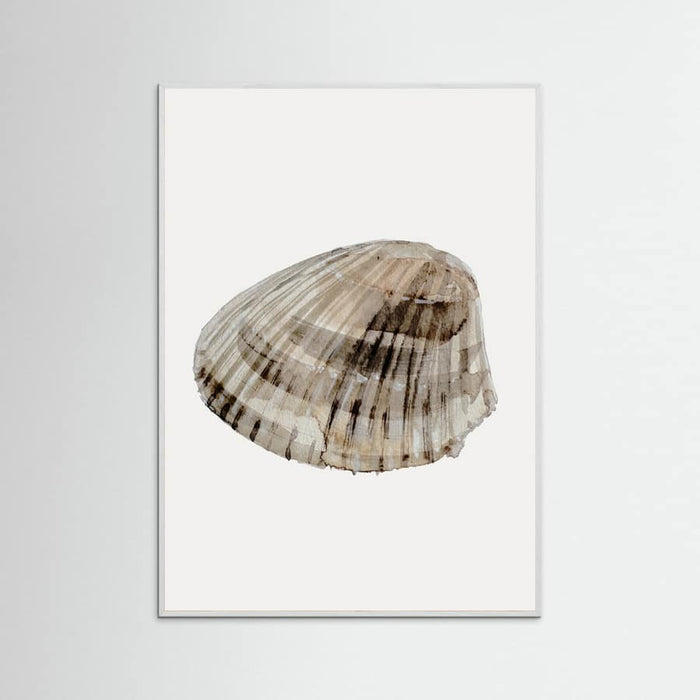 Poster Seashell – poster e stampa artistica