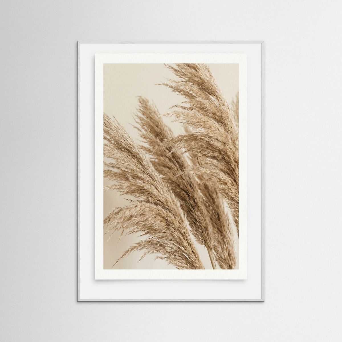 White Wood Sunlit Frond