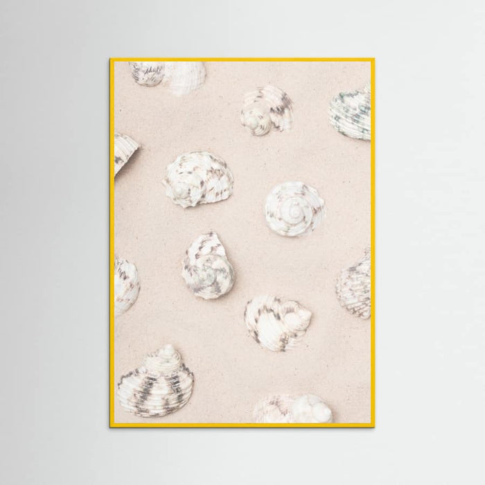 Shells_2 Poster – Poster und Kunstdruck