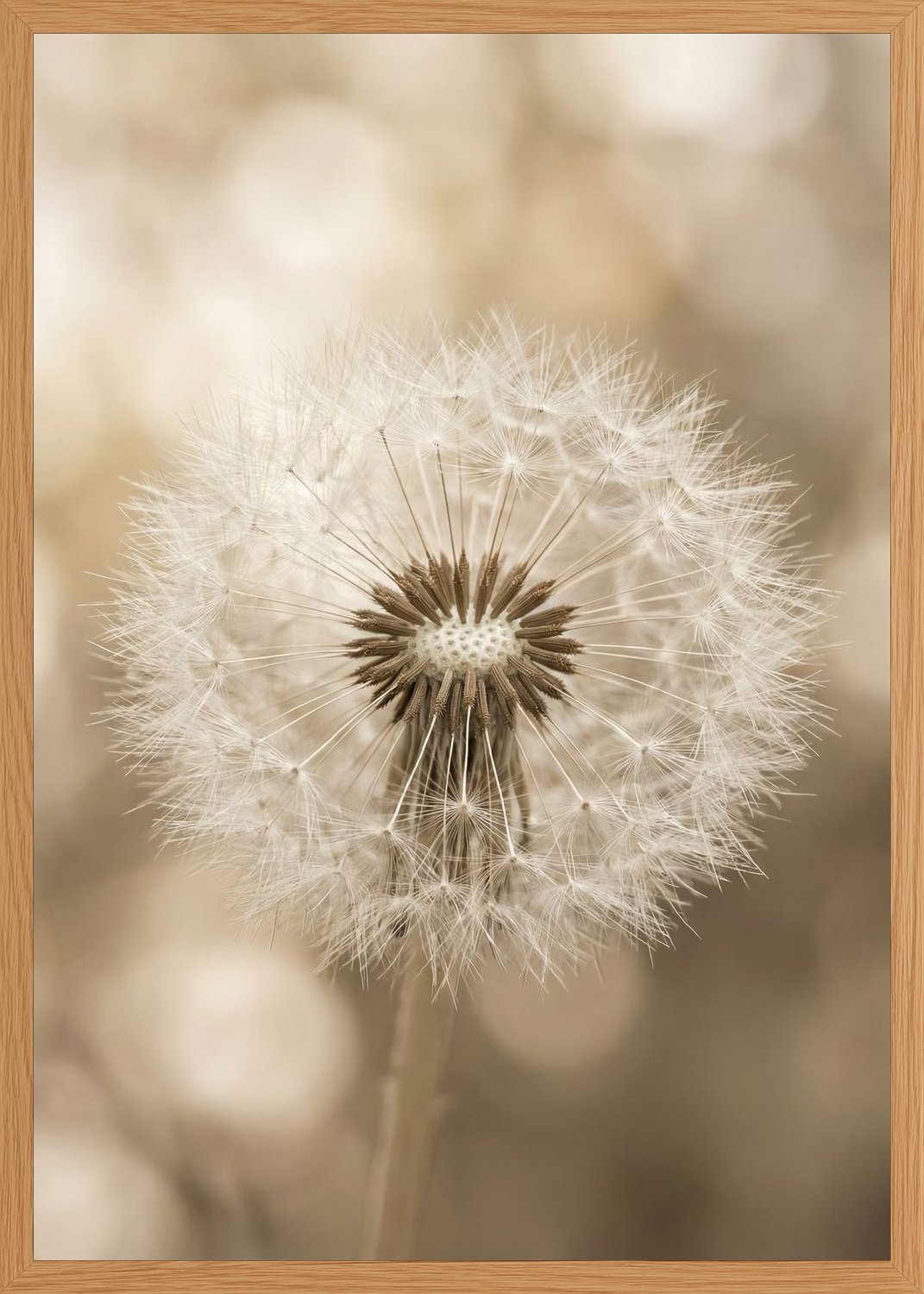 Poster in oak frame