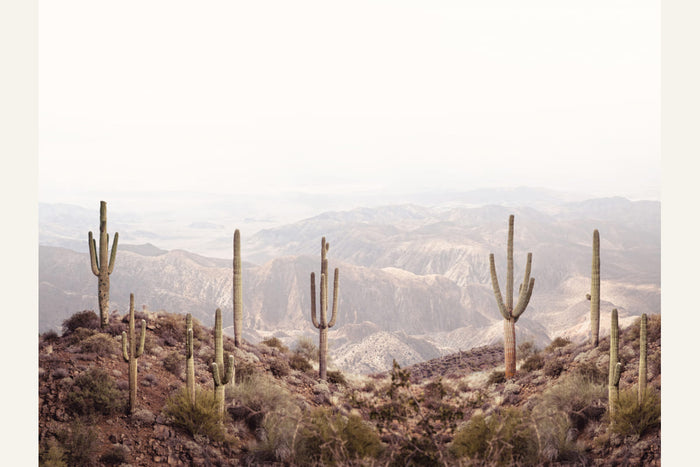 Arizona Valley Poster – plakat og kunsttryk