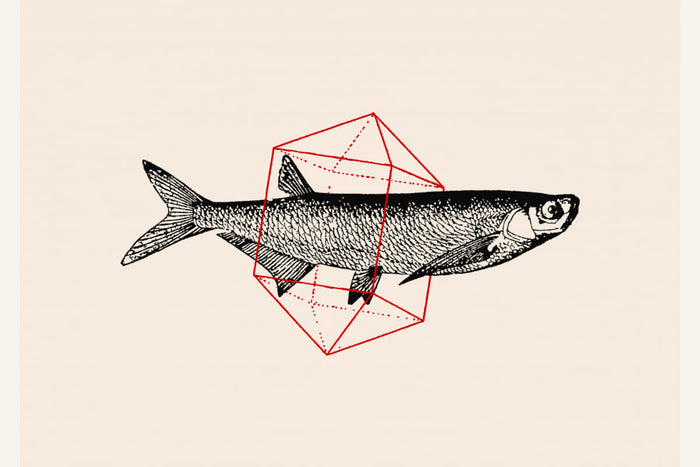 Fish In Geometrics Nº2 Poster – plakat og kunsttryk