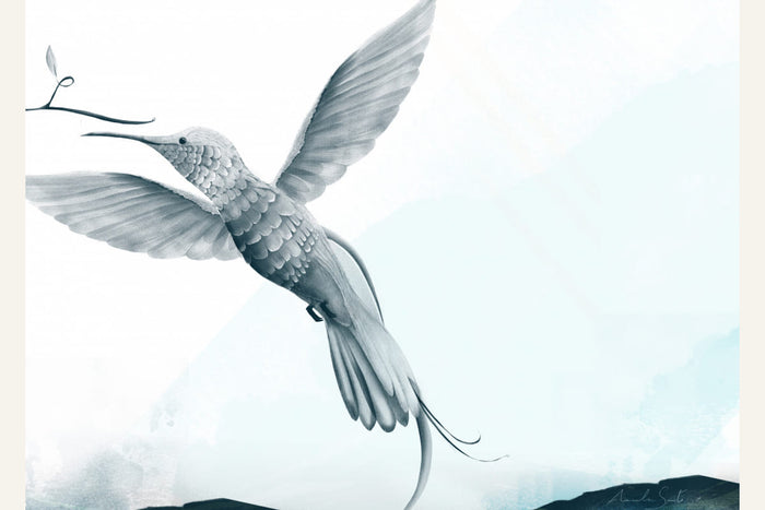 Affiche Hummingway – affiche et impression d’art