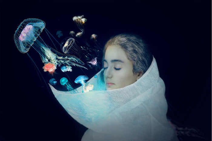 Jellyfish - The Queen of the sea Poster – plakat og kunsttryk