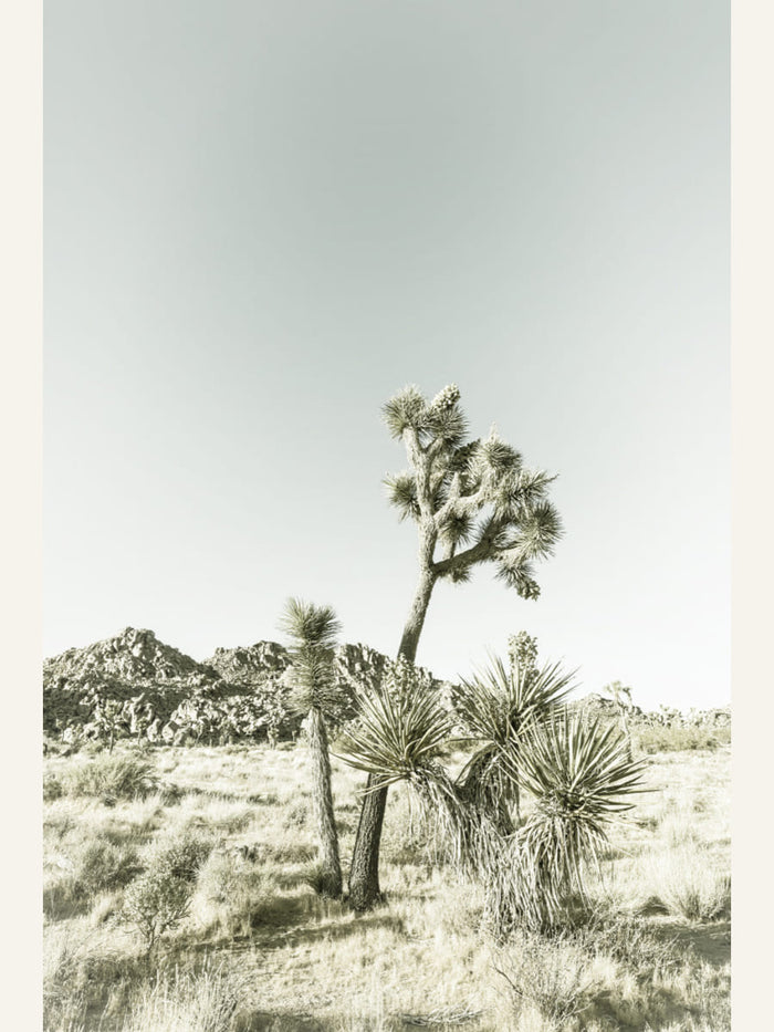 Poster print