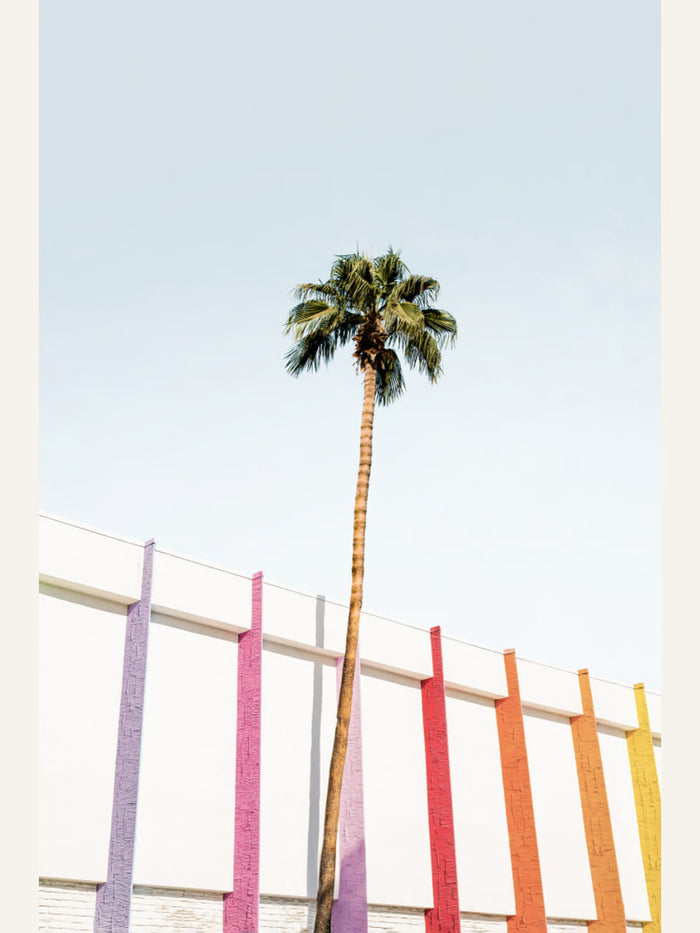 Póster Palm Spring Colors 2 – póster e impresión artística