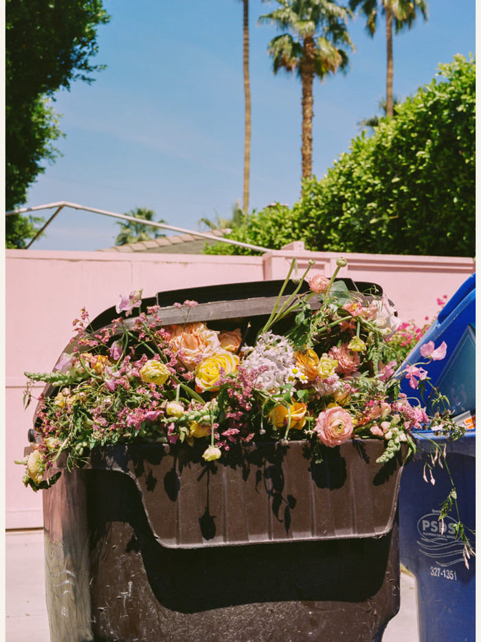 Palm Springs Curb Poster – plakat og kunsttryk