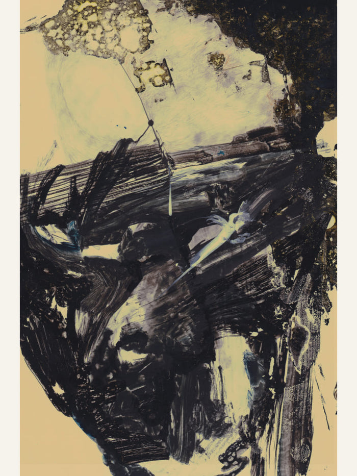 Polar Poster – plakat og kunsttryk