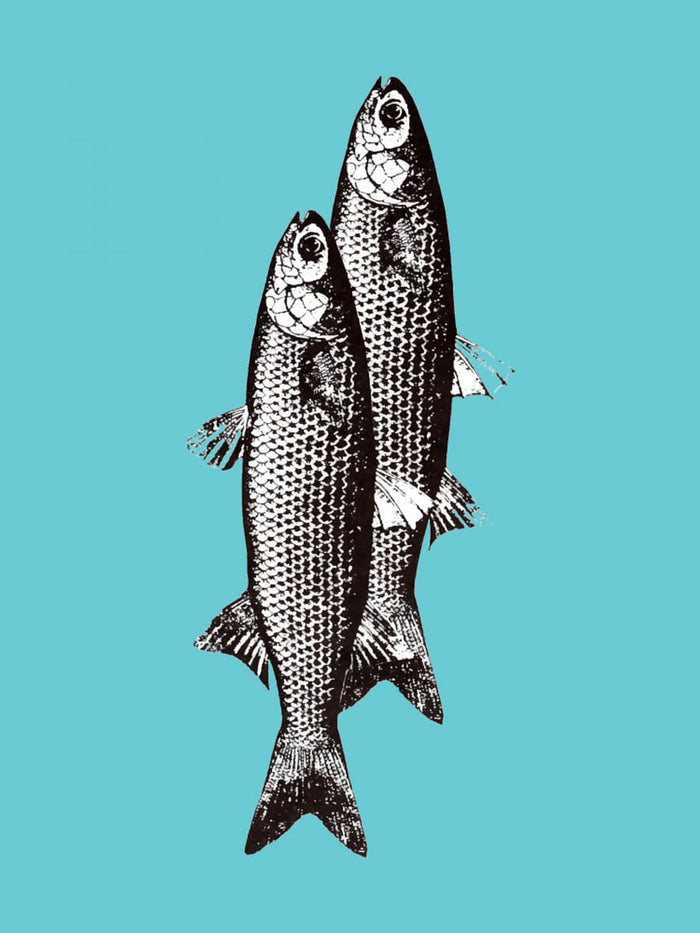 Poster Sardinas – poster e stampa artistica