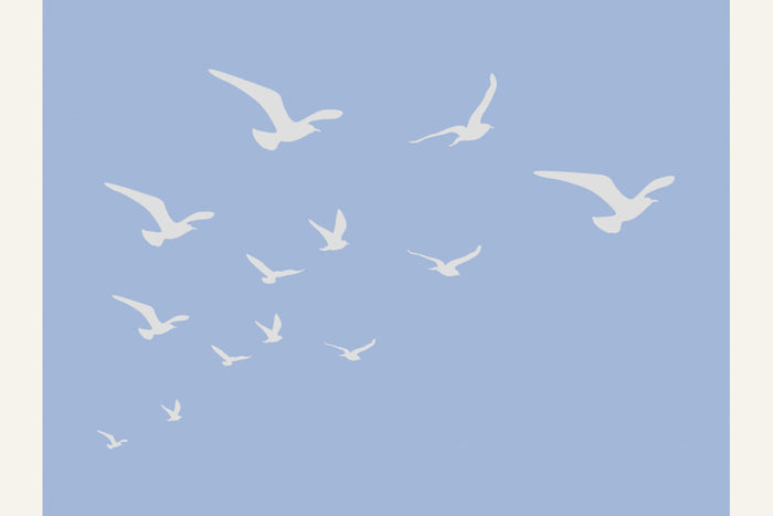 Póster Seagulls Blue Background – póster e impresión artística