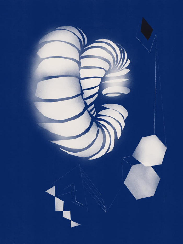 Seashell Ornaments Poster – plakat og kunsttryk