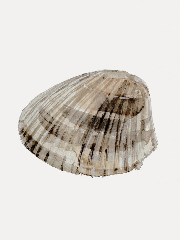 Poster Seashell – poster e stampa artistica