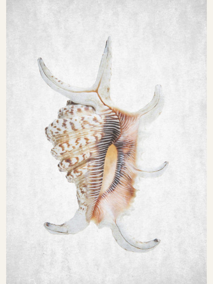 Spring Tide 03 Poster – poster and art print