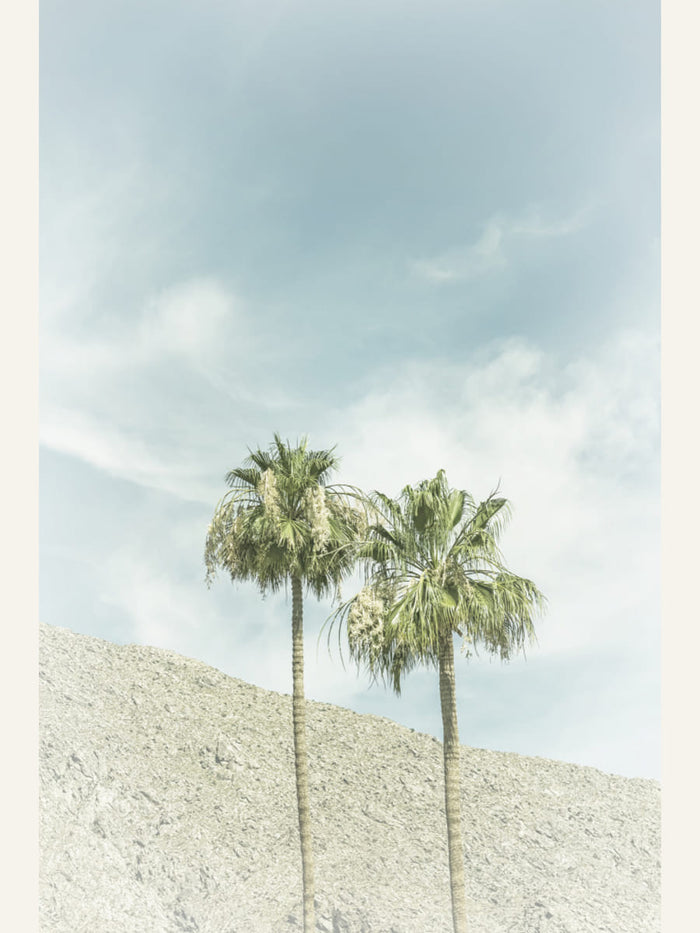 Vintage Palm Trees in the desert Poster – Poster und Kunstdruck