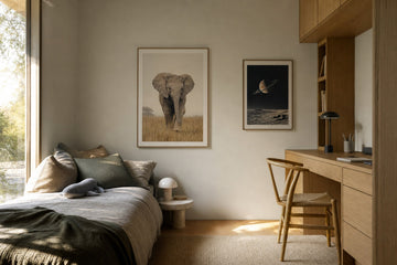Nordic editorial age-appropriate Nordic bedroom or study corner featuring playful yet sophisticated framed art integrated into a practical small-space layout