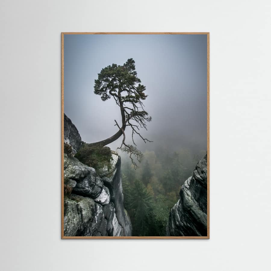 Andreas Wonisch