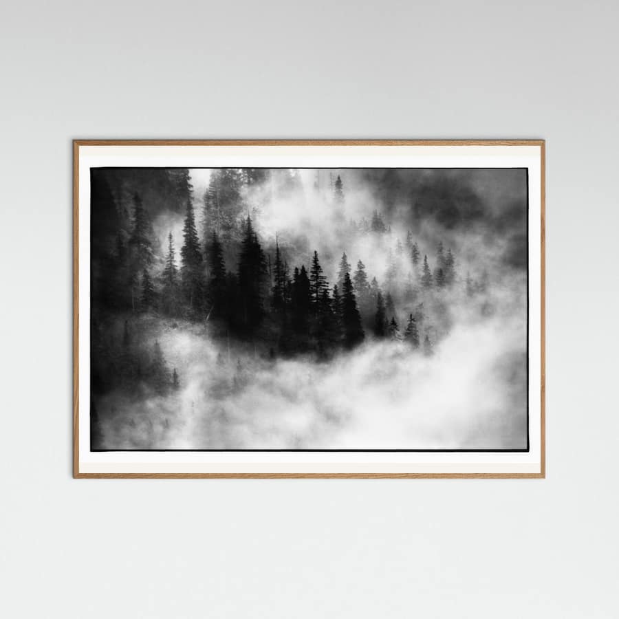 Jacek Stefan