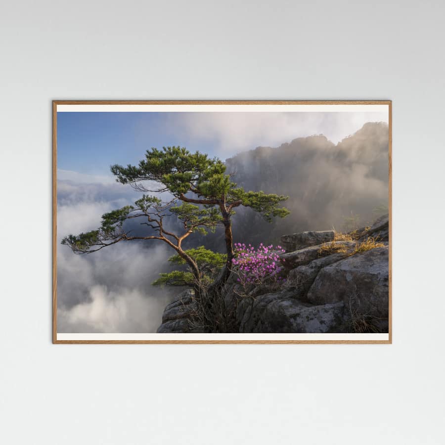 Jaeyoun Ryu