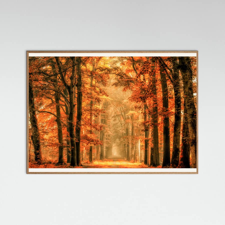 Lars Van De Goor †